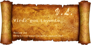 Virágos Levente névjegykártya